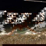 ชื่อ'ลูก เกด profile icon