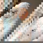 Patcharaporn Ausmaree profile icon