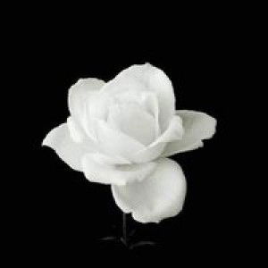 Thu Huong profile icon