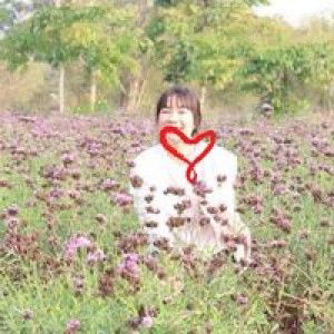 Elijah P. profile icon