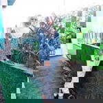 Nik Mazni profile icon