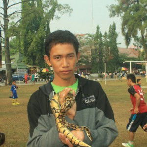 roni arisandi profile icon