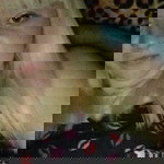 Rose Anderson profile icon
