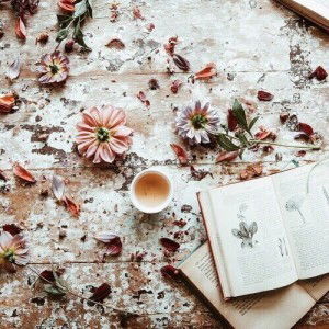 jacquilyn de leon profile icon