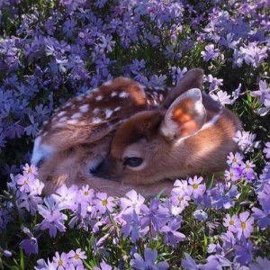 Nunnapat profile icon