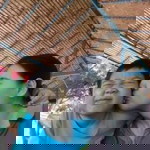 วีรยา รุ่งเรืองอนันต์ profile icon