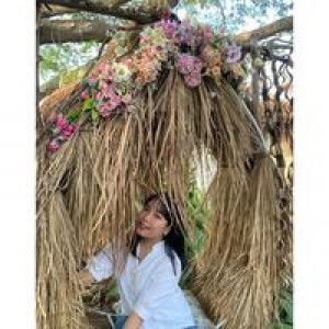 Ying Jitsupa profile icon