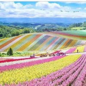 Rellores Lhen Manjares profile icon