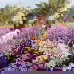 Oil Kanika profile icon