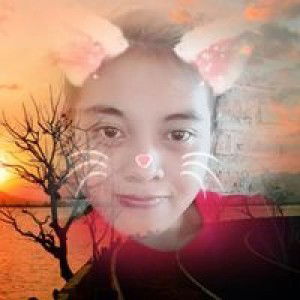 Mey Sulisyanti profile icon