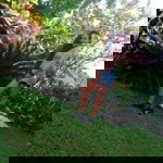 Marjorie Maranan profile icon