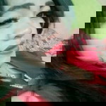 Kayla RMD profile icon