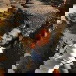 Pinmanee Puttha profile icon