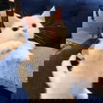 Indriani profile icon