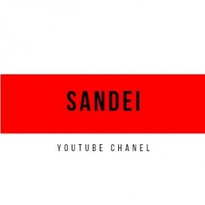 SANDEI GOODS profile icon