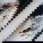 Aiena Farini profile icon