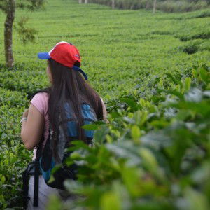 Ferun Tikka profile icon