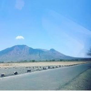 Anik Purwanti profile icon