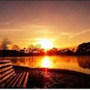 Dewi Sari Maksum Harahap profile icon