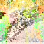 Ndokk Crewett profile icon