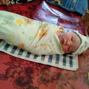 Fitri Wulandari profile icon