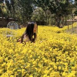 Kamyui Phetcharat Pholnikorn profile icon