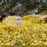 Kamyui Phetcharat Pholnikorn profile icon