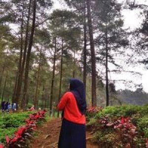 Nurul Lisany profile icon