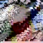 Khoirun Naziyah profile icon