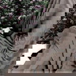 Malla Pane profile icon