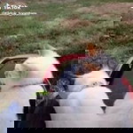 Naruemon Phetdee profile icon