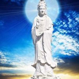 Trang Trang profile icon