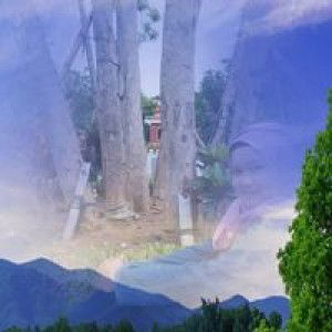 Srigati profile icon