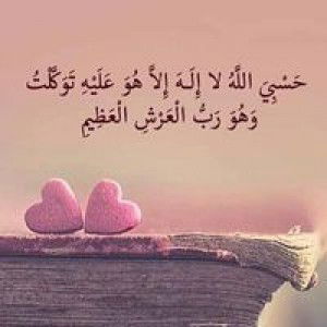 ليسي الفيني profile icon