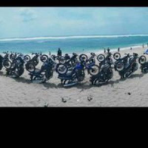 Juvika Oktarivanda Putri profile icon