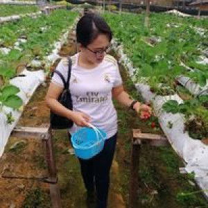 Nurcahaya profile icon