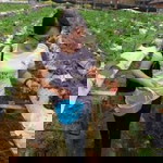 Nurcahaya profile icon