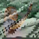 Richel Yason profile icon