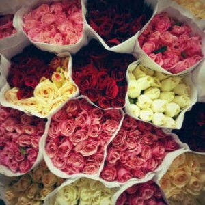 Maria Tari Fatima profile icon