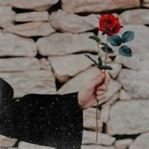 Hasanah Marida profile icon