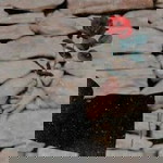 Hasanah Marida profile icon