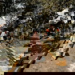 Mawaddatul Afwa profile icon