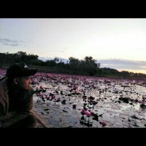 Robani Thoha profile icon