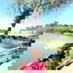 NF store profile icon