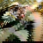 Ayu Ningtias profile icon