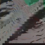 Monita Arum Sarii profile icon