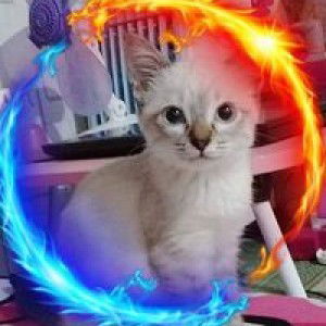 Maria Lee profile icon