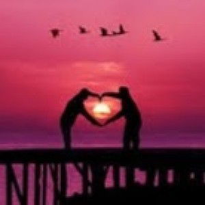 Nofi Diadara profile icon