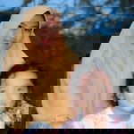 febriawati profile icon