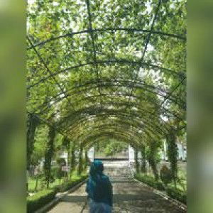 Wiandita Julbintara profile icon